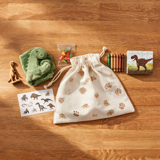 Dino Discovery Goody Bag — complete bundle with canvas pouch and contents